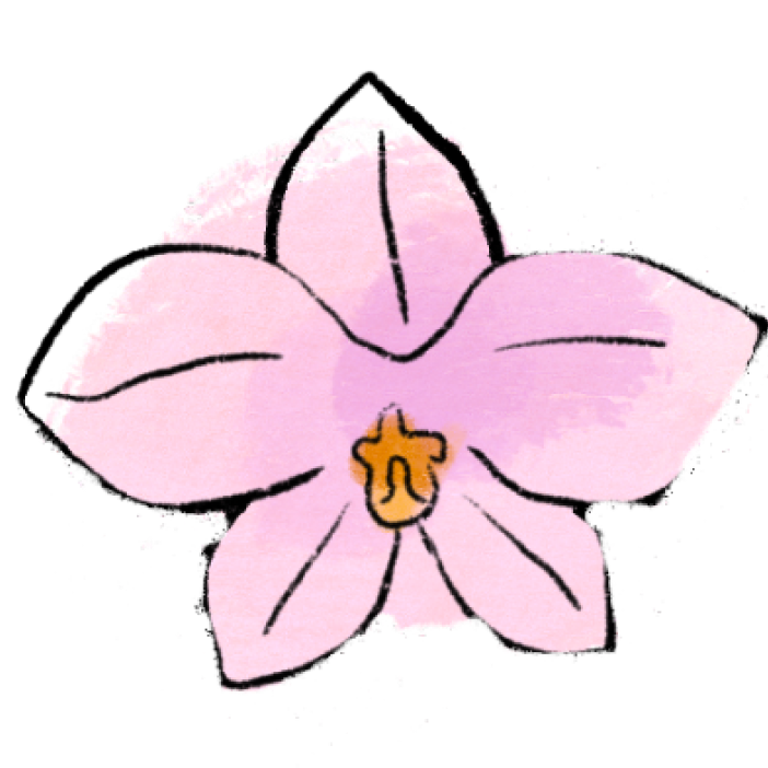 Orchid
