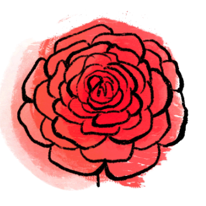 Ranunculus